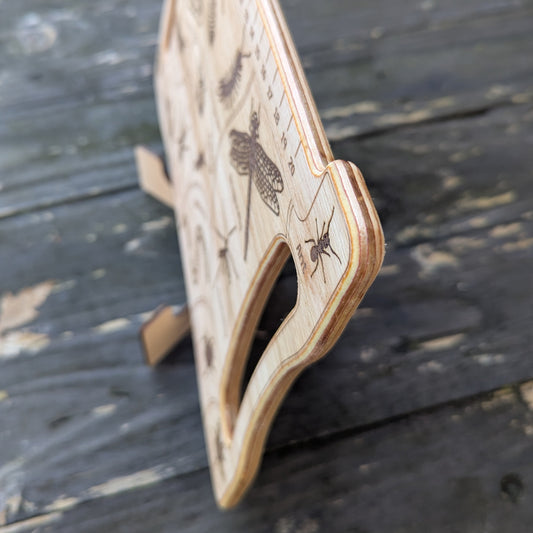 Detective Board - Insects and Invertebrates