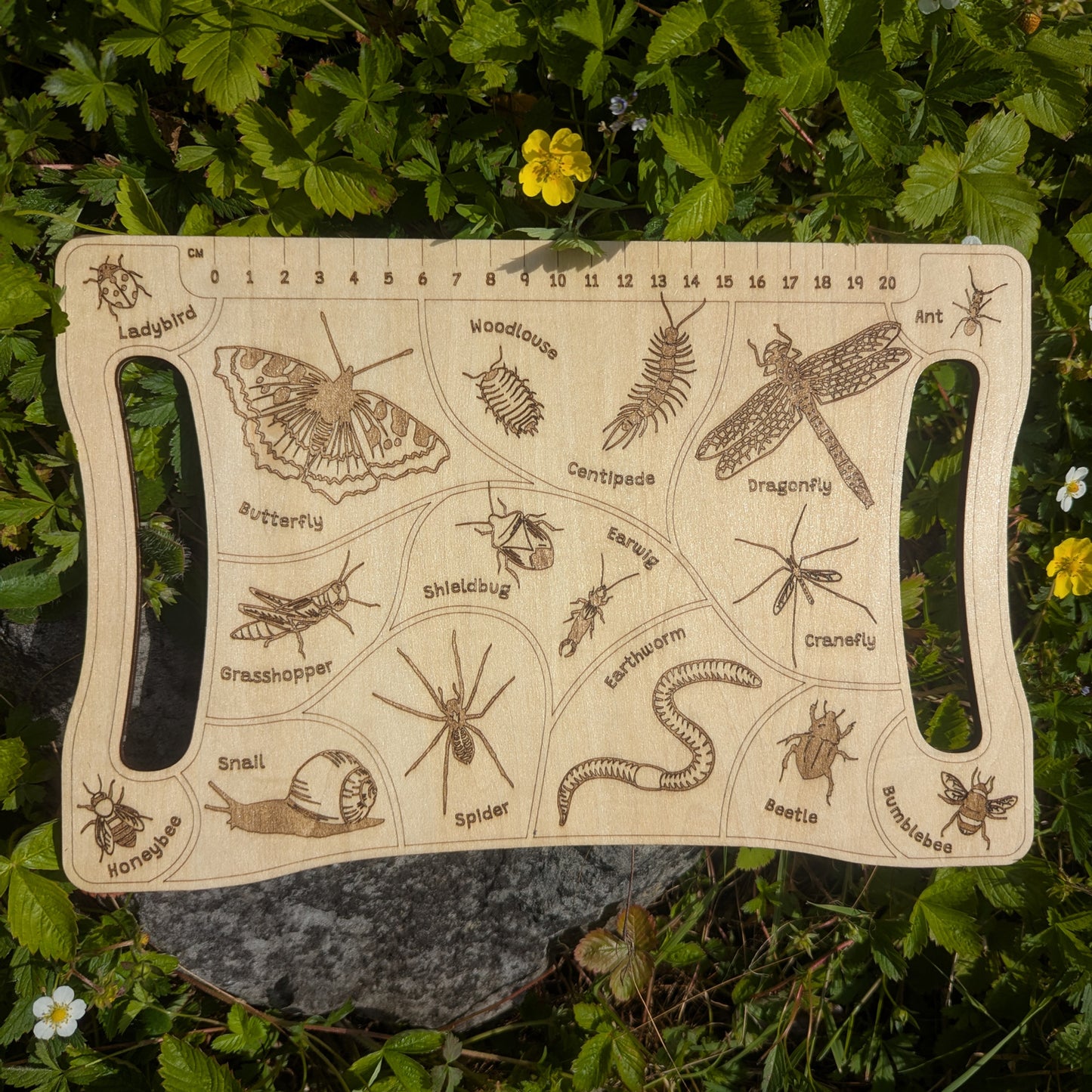 Detective Board