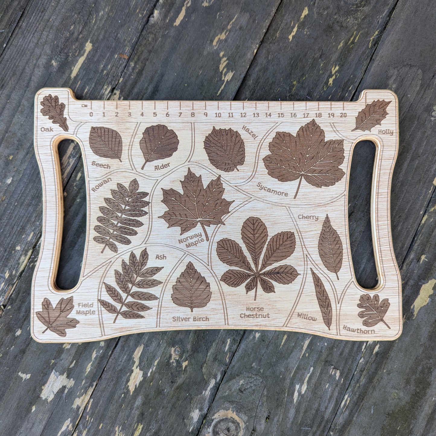 Detective Board - Woodland Leaves