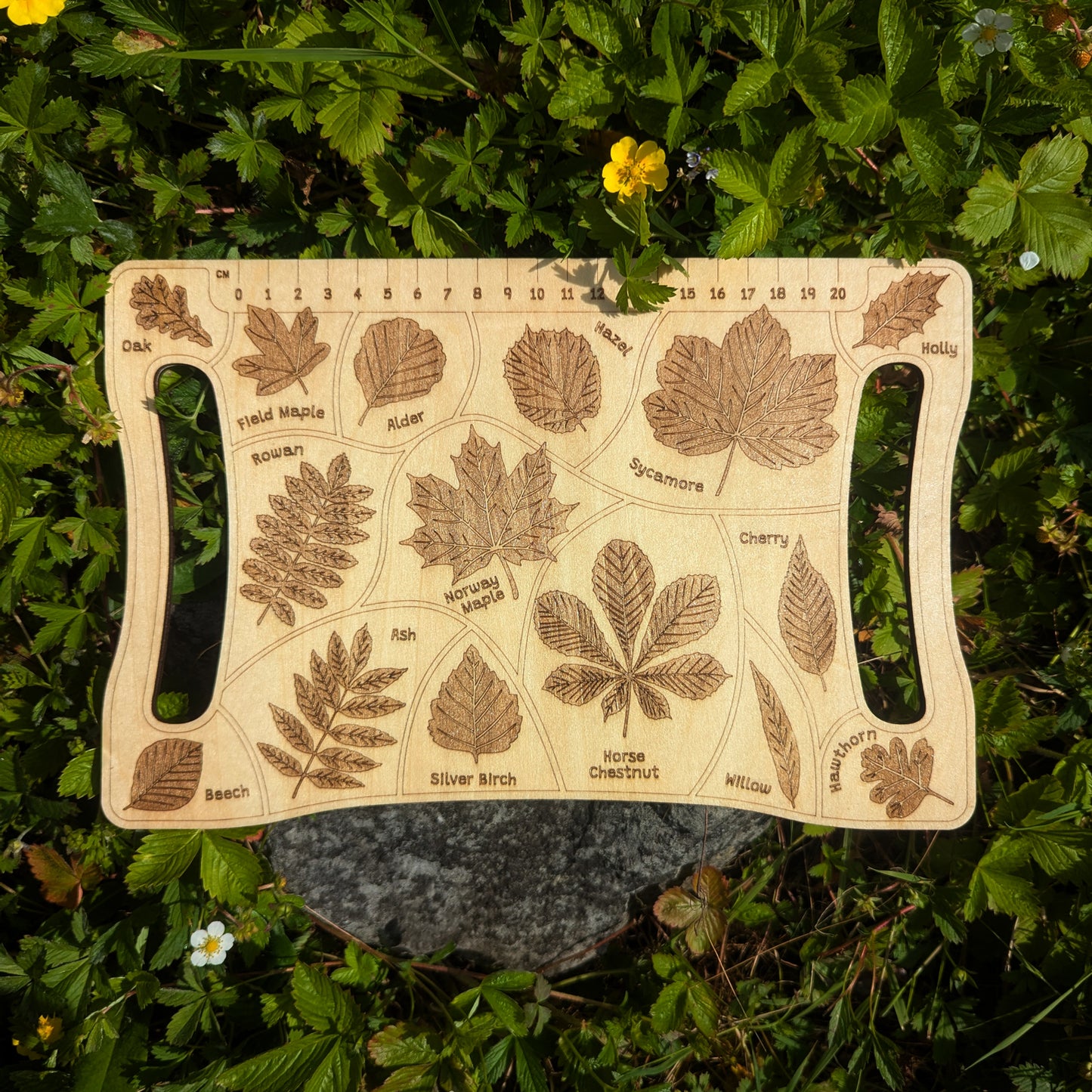 Detective Board