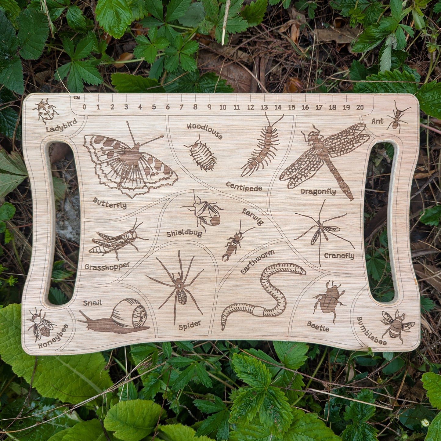 Detective Board (Old Stock)